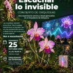 La música de las orquídeas de Estepona se presenta el domingo 25 de octubre en el jardín