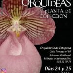 Estepona reúne en su parque botánico la 11ª Feria de Orquídeas