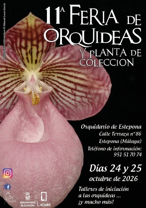Estepona reúne en su parque botánico la 11ª Feria de Orquídeas
